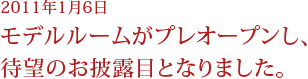 2011年1月6日モデルルームがプレオープンし待望のお披露目となりました。